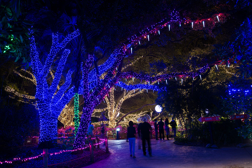 sheraton_pdx's tweet photo. It wouldn’t be the holidays in Portland without a visit to ZooLights, the Oregon Zoo’s annual winter festival. A must see! ZooLights runs from November 29, 2019 to January 5, 2020 (with the exception of December 24-25 for the holidays). https://t.co/l4NqWk6Kuw