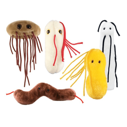 Jazzy_Robot's tweet photo. Giant Microbes Gut Check Pack https://t.co/Ieuua24znm https://t.co/Zq8VPeca6m