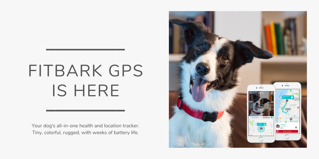 vegetation katastrofale Begrænsning FitBark on Twitter: "Big news, pet parents 🐾 FitBark GPS is here! Your dog's all-in-one health and location tracker 🐶 Check it out at https://t.co/Ix6osroVII https://t.co/NEYKIbbXzA" / Twitter vegetation katastrofale Begrænsning FitBark on Twitter: "Big news, pet parents 🐾 FitBark GPS is here! Your dog's all-in-one health and location tracker 🐶 Check it out at https://t.co/Ix6osroVII https://t.co/NEYKIbbXzA" / Twitter