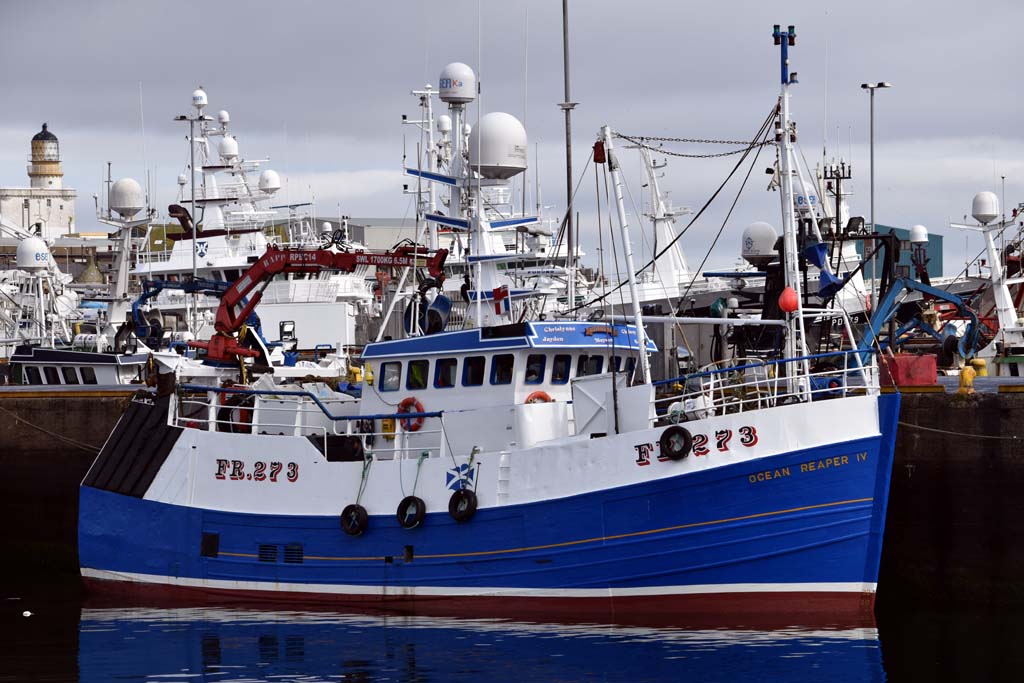 This week’s #Peterhead market report: 

facebook.com/CaleyFisheries…

#seafoodscotland #commercialfishing #fisheries #eatmorefish #scottishseafood