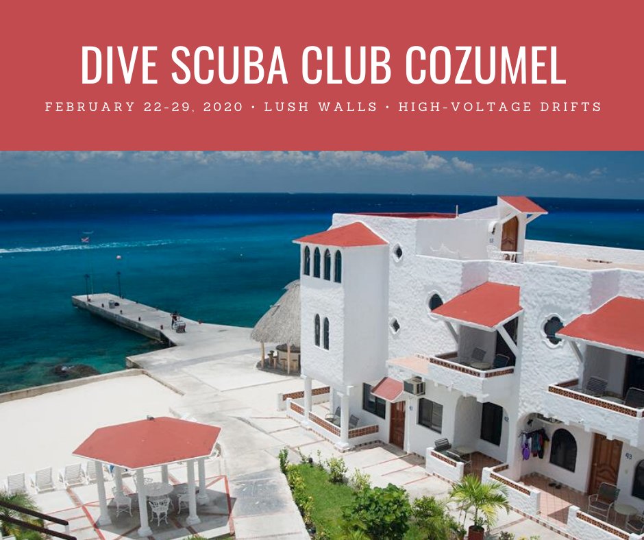Scuba Club Cozumel $1249 - Book Before December 15th.

Book a trip and receive 10% off of any recreational course (excluding pro level courses) conducted prior to or during the trip.

#divetravel #divecozumel #divetraining #driftdiving