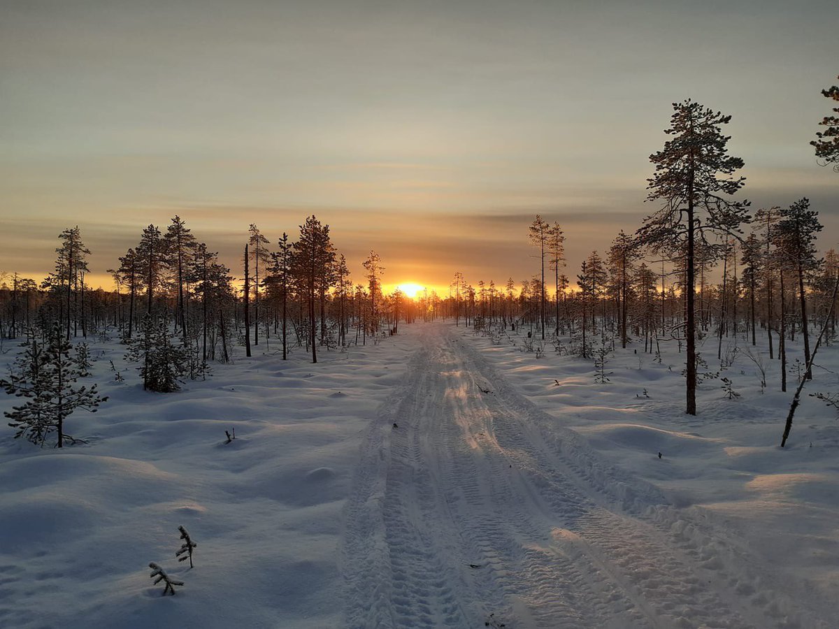 Kenttäkausi lähti käyntiin upeissa maisemissa! #malminetsintä #kaivosteollisuus