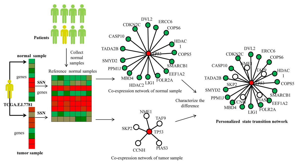 BioDecoded's tweet image. A novel network control model for identifying personalized driver genes in cancer | PLOS Computational Biology
journals.plos.org/ploscompbiol/a…
#PLOSComputationalBiology