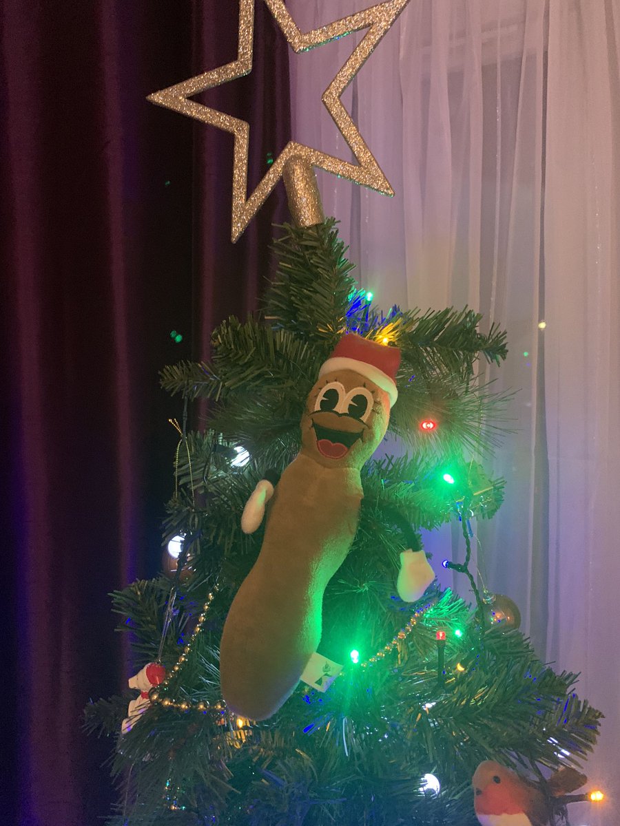 CrustySprocket's tweet photo. You know Xmas is round the corner when #mrhankeythechristmaspoo arrives 💩 https://t.co/Xs6vR71dTL