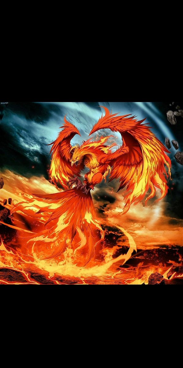 Wooyoung- Phoenix- the bird who rises from its ashes - its true form cannot be seen by everyone- is known to form a bond with its chosen one and stay loyal to them beyond the grave - represents immortality - symbolises passion, loyalty, beauty, intelligence