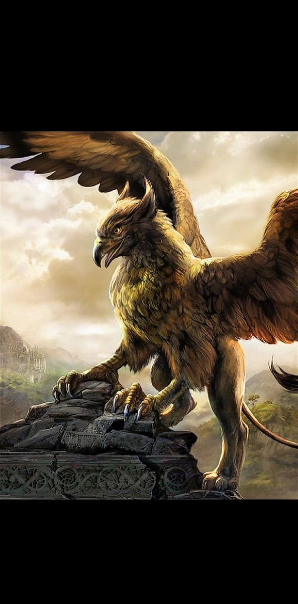 Jongho- Griffin - powerful and majestic creature- protector of order, defender from evil- sharp and noble- extremely loyal to their treasured ones- possess the speed, flight, and flawless vision of the eagle and the strength, courage, and majesty of the lion