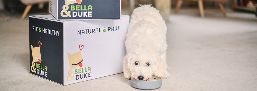 We have teamed up with our friends at <a href="/BellaAndDuke/">Bella+Duke</a> to give you the chance to win a 4kg box of their natural raw dog food. You can also take advantage of an exclusive offer to get 50% off your first order!
edogadvisor.co.uk/win_bella_and_…