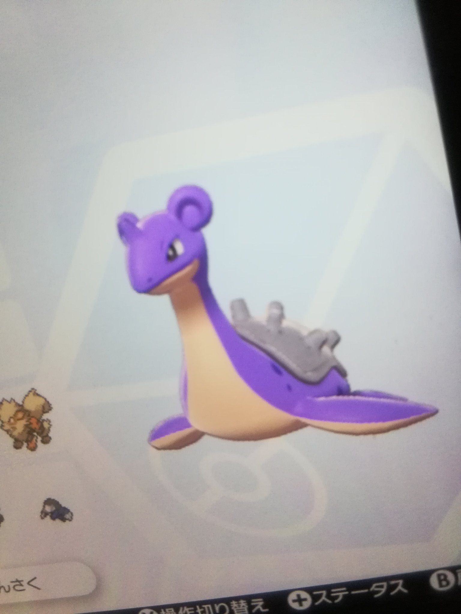 あっきー にょろさんのライブ配信でもらったラプラス厳選してたら色違いでたｗｗ ポケモン剣盾 ポケモンソードシールド T Co Yicc1kxqvn Twitter