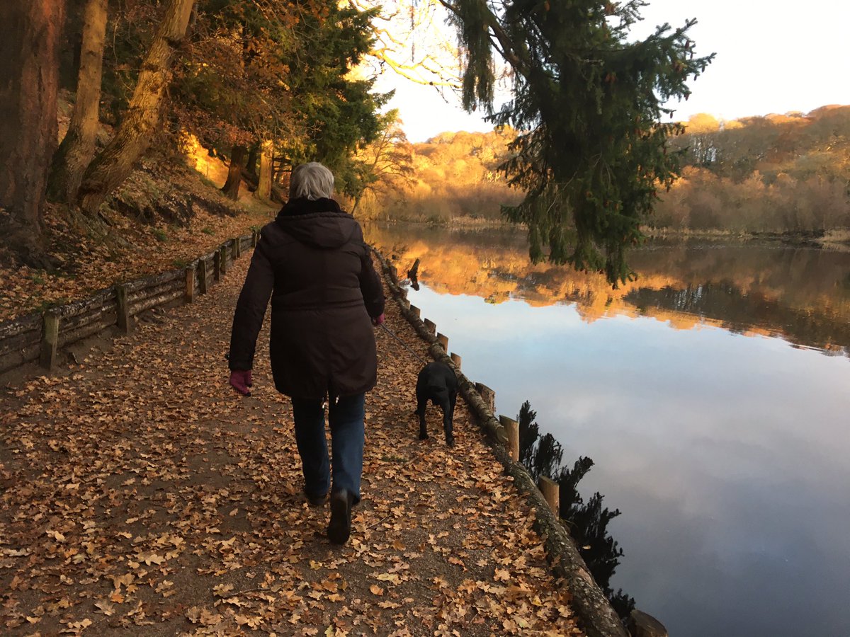 A lovely walk around Sanquhar Loch with mum after work. Looking lovely after it’s tidy up. Winston loves walks with his granny #moray #speyside #forres #november #earlywinter #puppywalks