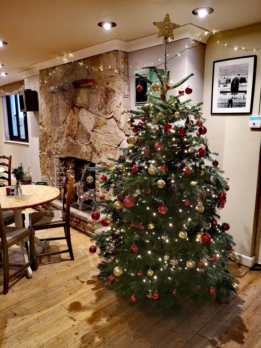 PropellerInn's tweet image. Its beginning to look a lot like Christmas here at The Propeller  🎅
We love our Christmas tree from The Barrow Boys in Ryde 🎄
#barrowboys #shoplocal #besttreesintown #christmas #festive #propellerinn #IsleofWight