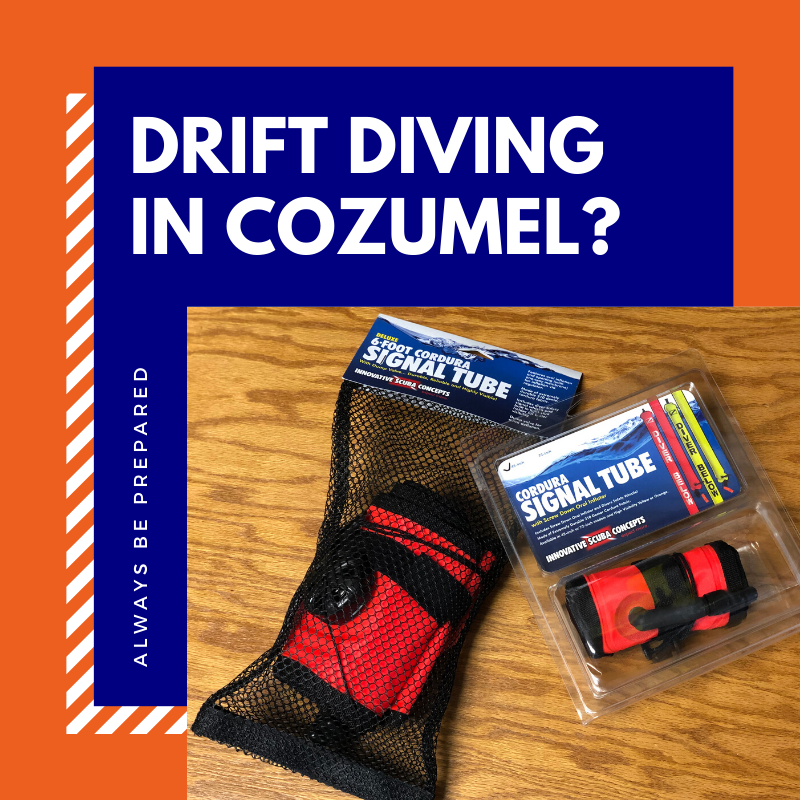 Are you prepared for your next dive trip? Always make sure you have the appropriate equipment. We are open Black Friday to help you with all of your diving needs.

#diveaccessories #divetravel #divetraining #diveequipment #blackfridayshopping