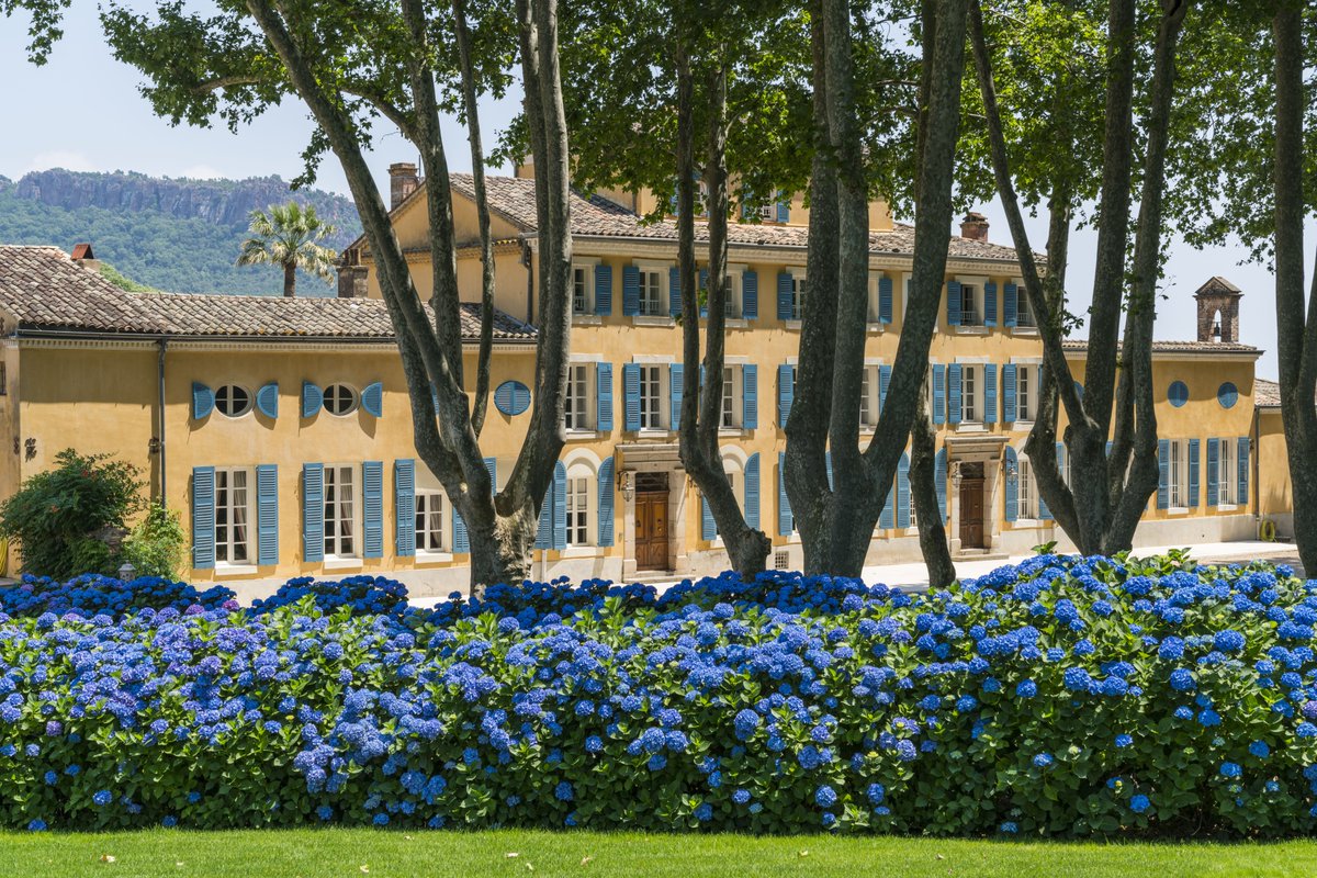 We are glad to announce that Château d’Esclans joins Moët Hennessy’s portfolio of wines and spirits. The world leading Provence Rosé is recognized for its international references Garrus and Whispering Angel.
#ChateaudEsclans #MoetHennessy #LVMH