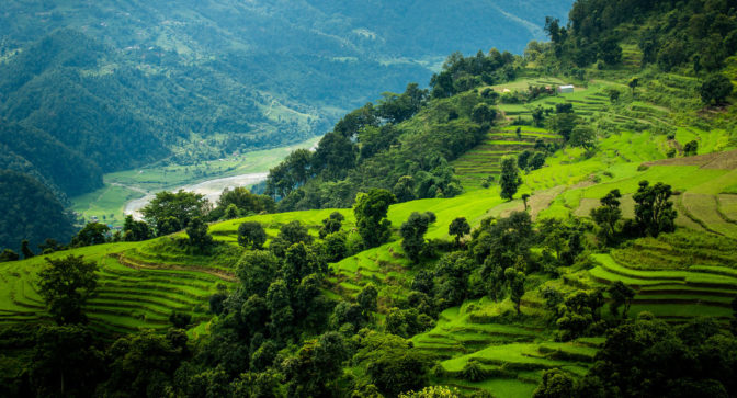 Global Landscapes Forum (GLF) tweet media