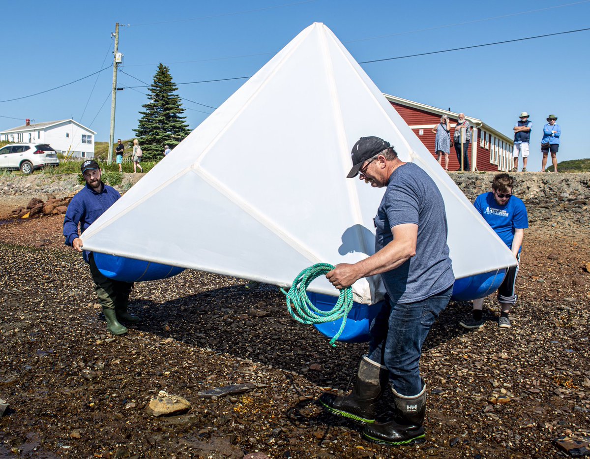 This year’s exhibition would not have been possible without our generous site partners. Starting in the Trinity Bight area - special thanks to Trinity Historical Society, the Town of Port Rexton, Fishers’ Loft, Provincial Historic Sites, and Champney’s West Heritage Group.