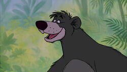 Baloo got his big break in Jungle Book (1967).
