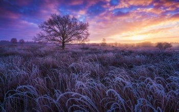 Silicon_Ether's tweet photo. As the #cold #winter #chill #thaws &melts from my body.I standby the #fireplace drinking #tea,inmy winter #sweater. &gaze out of the window,to watch the #weather continue its #crunch.As the #icy #temperature layer #trees &grass with #frost
#Beautifulmess #ficchills #ficwinterfest https://t.co/Fvpi32jGoQ
