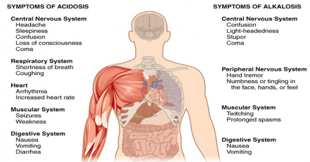 Adriana18315863's tweet photo. 17 Signs Your Body Is Too Acidic And 9 Ways To Quickly Alkalize It >> https://t.co/qYYsa3YVAa

#acidic #body #health #alkalize #remedies https://t.co/wvbLk2OFJt