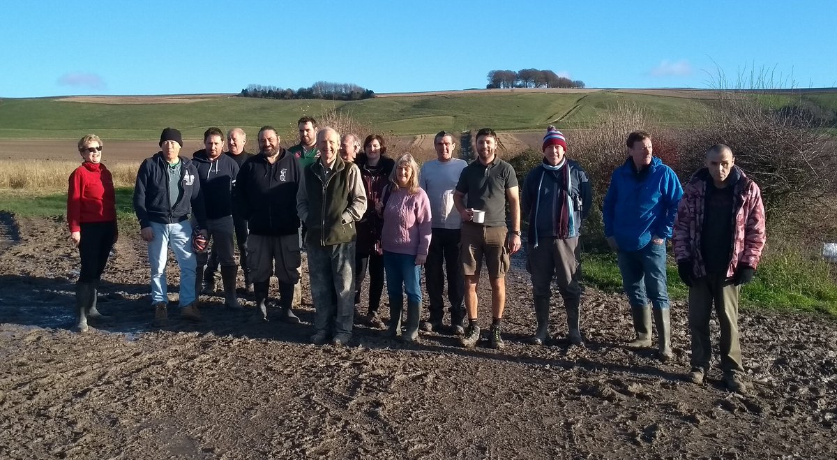 Tree sparrow superhighway on the Marlborough Downs - thanks to all the wildlife champions that helped plant 500 metres of new habitat!