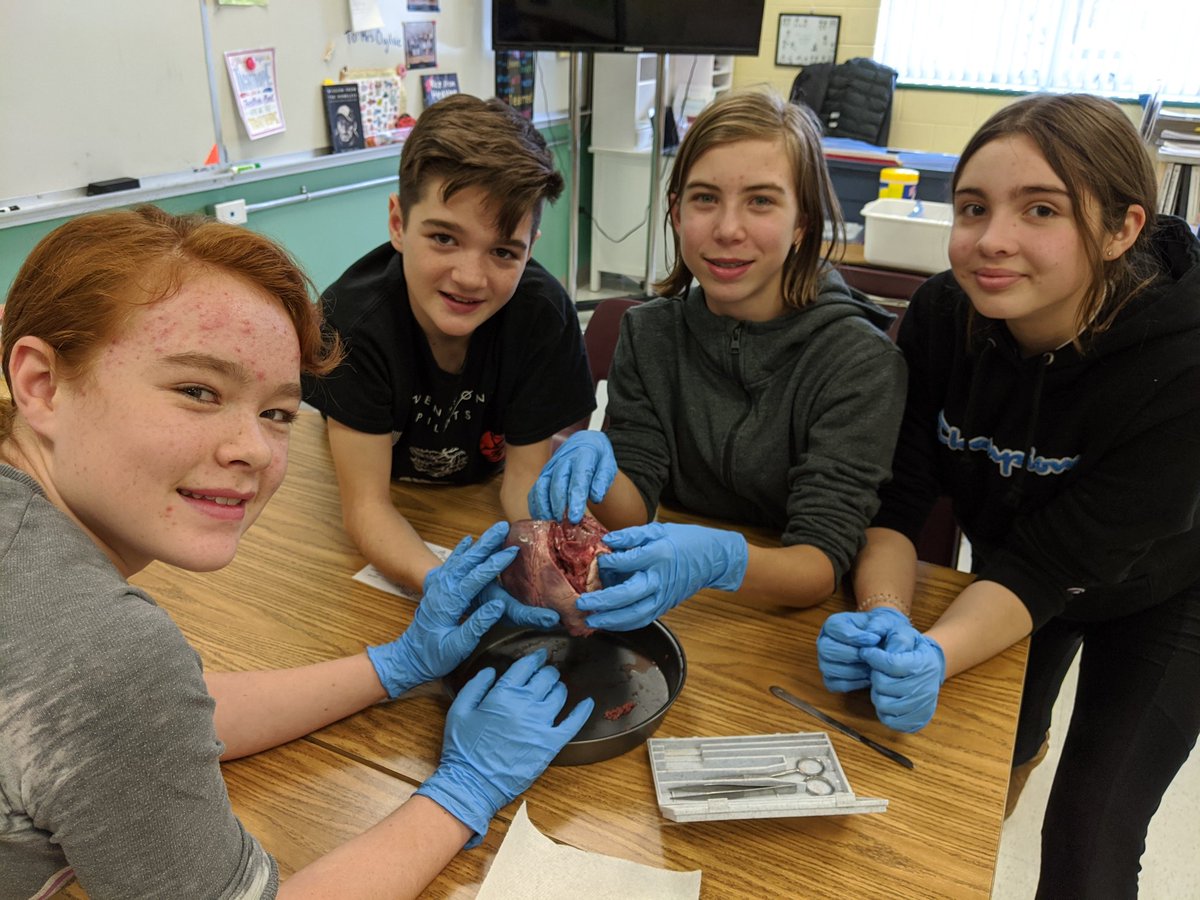 JACuddy's tweet photo. Dissecting pig hearts in science class today! Thank you @WISE_KidNetic #handsonlearning #jacuddy https://t.co/NwTcgpsLFI