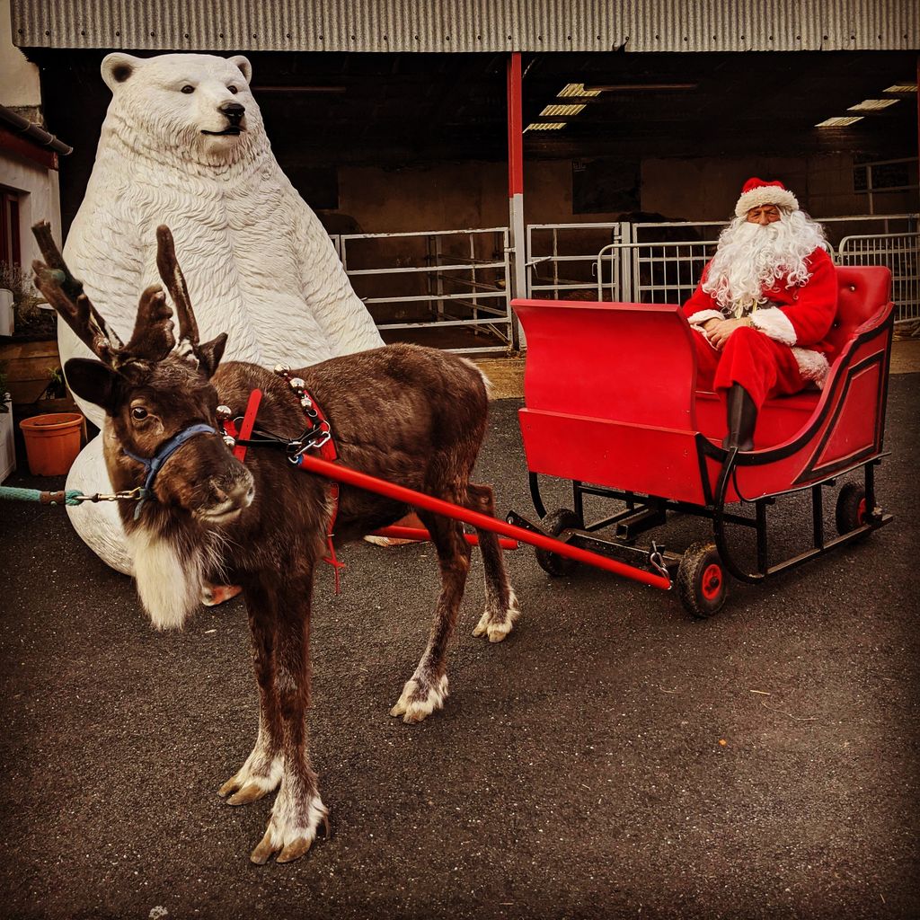 Saturday 30th November  @ 11AM

Santa arrives at the farm tomorrow morning at 11AM on his sleigh pulled by our very own reindeer Sven!