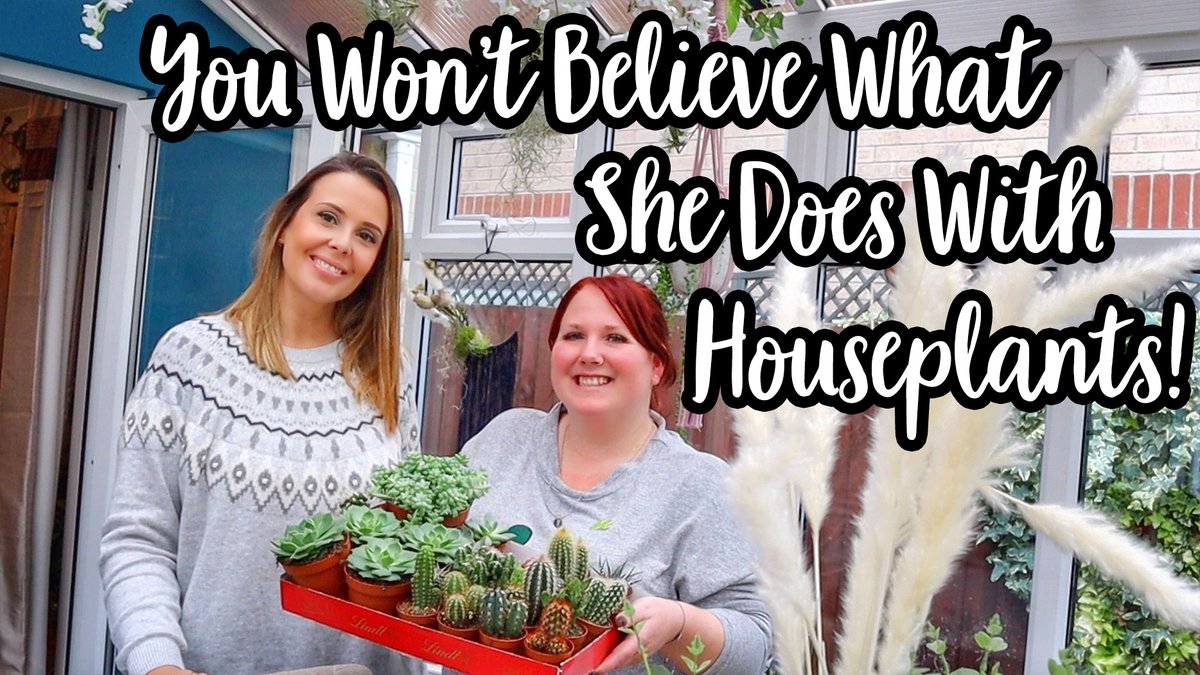 sarahfw40's tweet image. Chloe is so lovely and you really won’t believe what she does with houseplants! 🎄 Warning ~ this video may make you want to spend some money! 😄🌵 youtu.be/73UkIsAPEUg #thegirlgang #shinyhappybloggers #lbloggers #smallyoutubecommunity