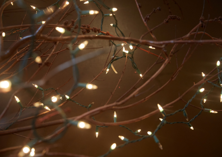 The Globe tweet media