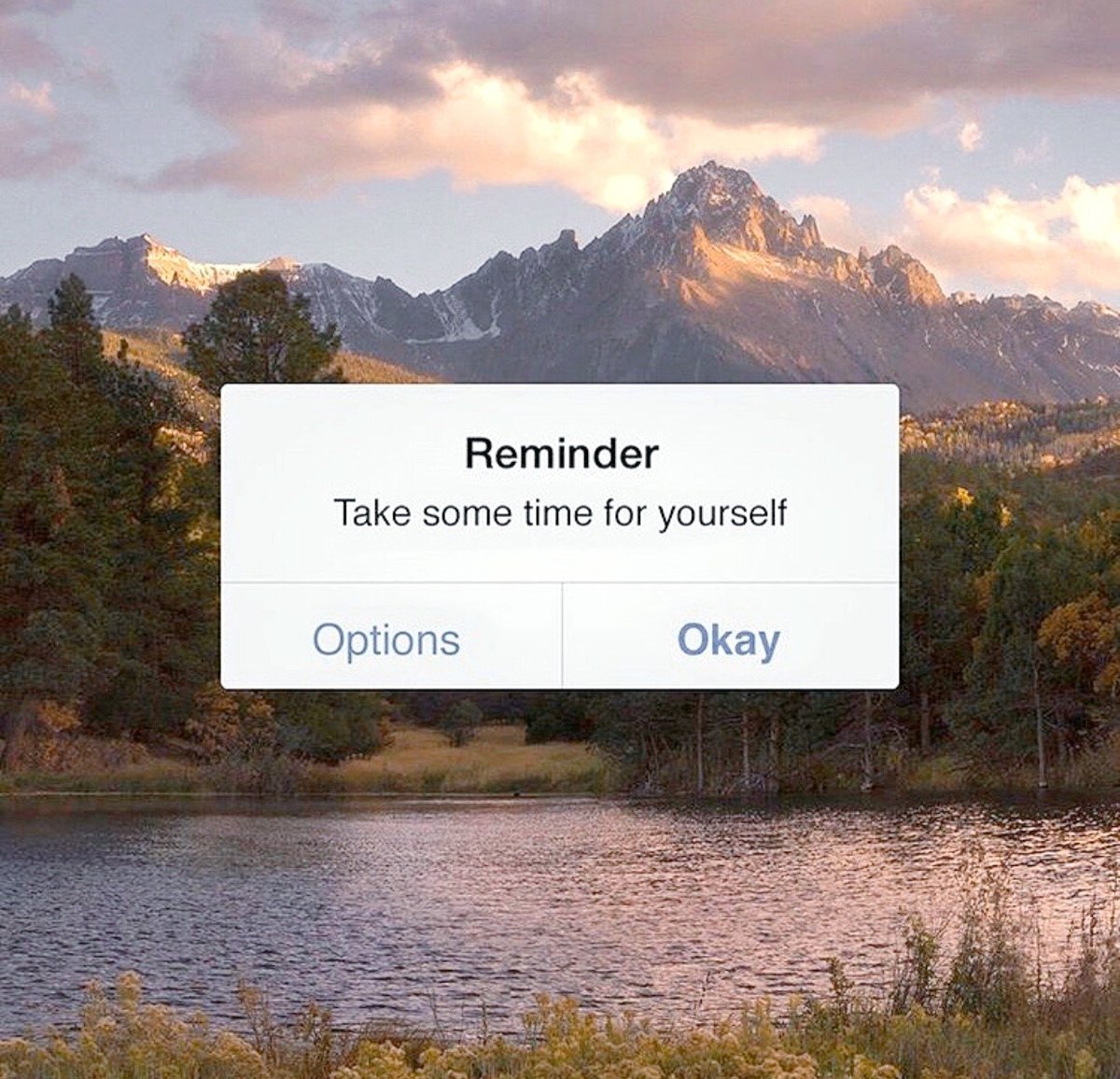 Purpose Generation (@purposegen) on Twitter photo 