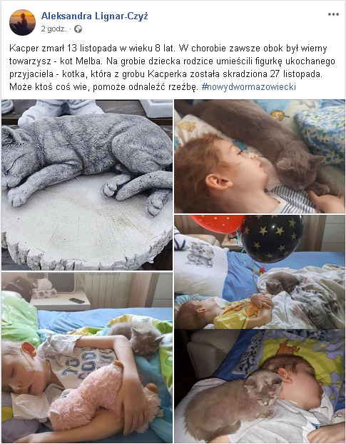 AleksZawisza's tweet photo. "Kacper zmarł 13 lis. w wieku 8 lat. W chorobie zawsze obok był wierny towarzysz- kot Melba. Na grobie dziecka rodzice umieścili figurkę ukochanego przyjaciela- kotka,która z grobu Kacperka została skradziona 27 list. Może ktoś coś wie,pomoże odnaleźć rzeźbę. #nowydwormazowiecki" https://t.co/hgZZMkKt4W