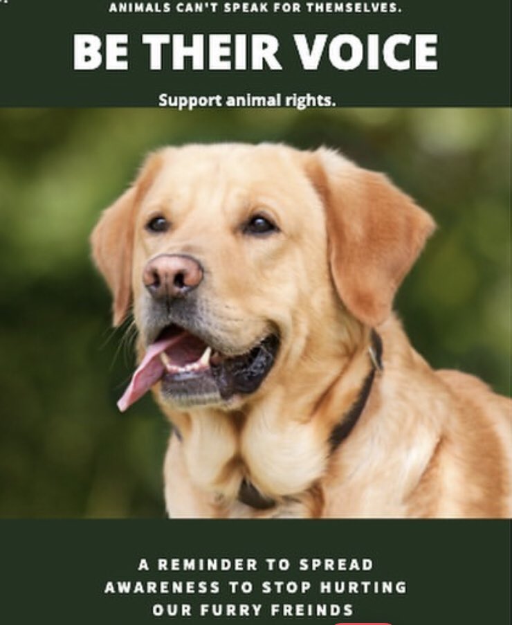 (@saveouranimals0) / Twitter (@saveouranimals0) / Twitter