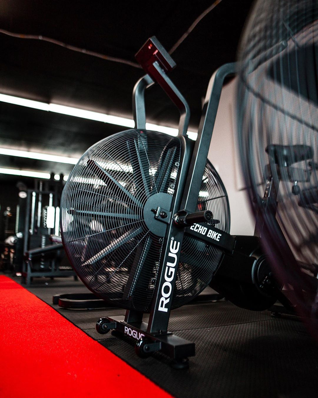 Rogue Fitness on X If you re gonna do cardio do it right. These roguefitness echo bikes will kick your ass Pwrbld Gym Get an Echo Bike for a Hot Deal price during
