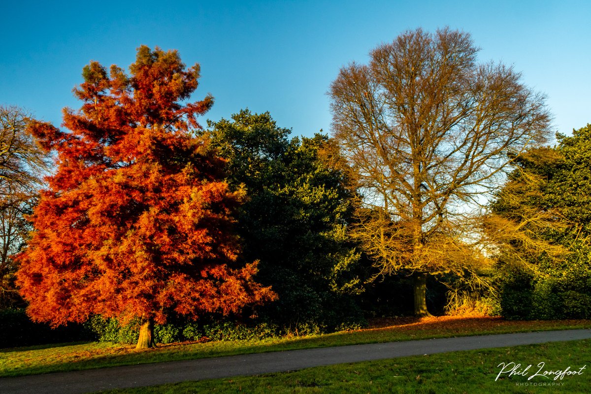 p_longfootphoto's tweet photo. Really nice walk around Croxteth Park Liverpool this afternoon. 
https://t.co/mV6kCElohM for all the pics from today 
@LiverpoolParks @moreLiverpool @lpoolcouncil @LiverpoolTweeta @YOLiverpool @cakefacepics #liverpoollife #croxtethpark #liverpool https://t.co/7lK9XW61N8