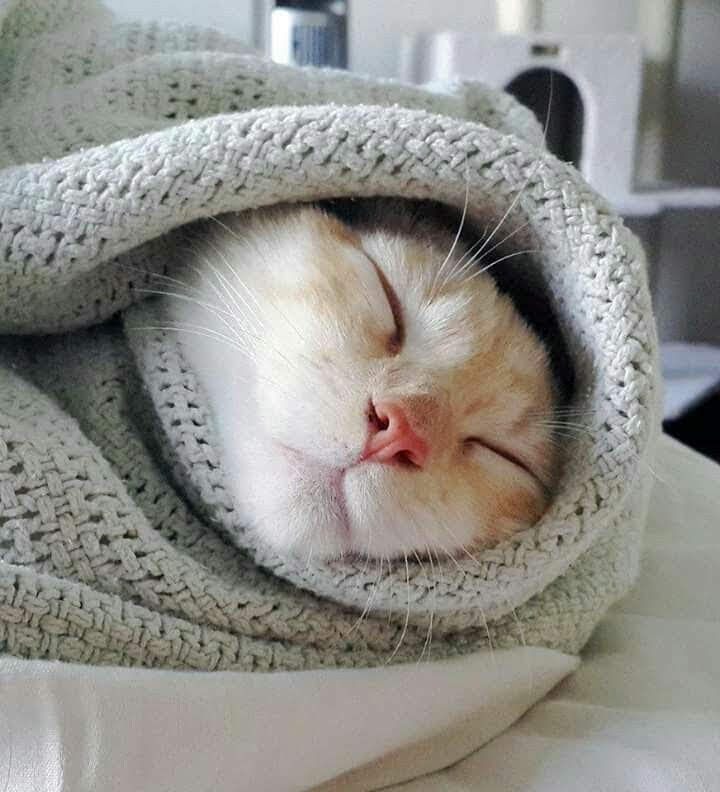 π¦ΓPHΓMΓREπ¦ π«π· (@anastalya) on Twitter photo <a href="/irina3529/">ΠΡΠΈΠ½Π° Π</a> ~~βπCoucou mon amie Irina!πΉπββοΈπΆπ¦π
~~β‘πJe te souhaite une belle et douce soirΓ©e et un week-end plein de bonheur ma belle!ππ¦β¨π²
~~βπDes gros bisous Irina!ππππΉππππββοΈ <a href="/irina3529/">ΠΡΠΈΠ½Π° Π</a> ~~βπCoucou mon amie Irina!πΉπββοΈπΆπ¦π
~~β‘πJe te souhaite une belle et douce soirΓ©e et un week-end plein de bonheur ma belle!ππ¦β¨π²
~~βπDes gros bisous Irina!ππππΉππππββοΈ
