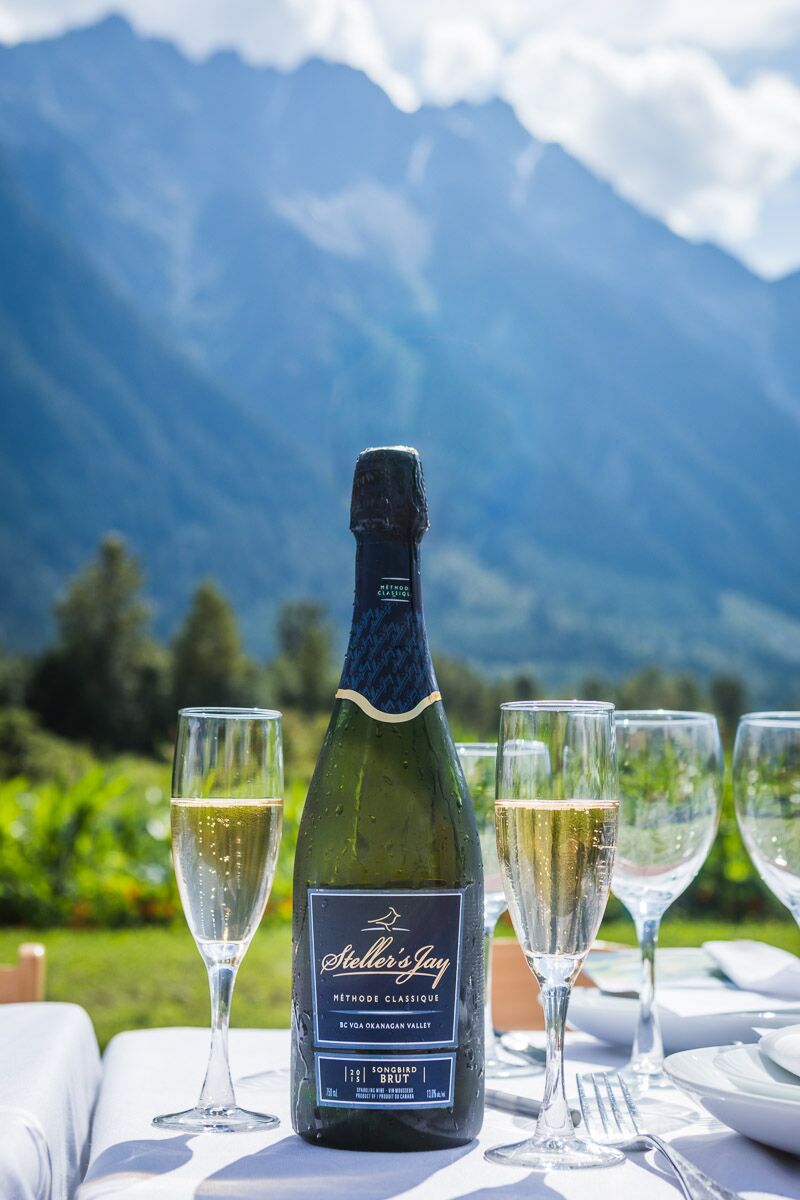 Throwback to sunnier days. ☀️ Fortunately, our Classique Brut is a hit year-round! 😎