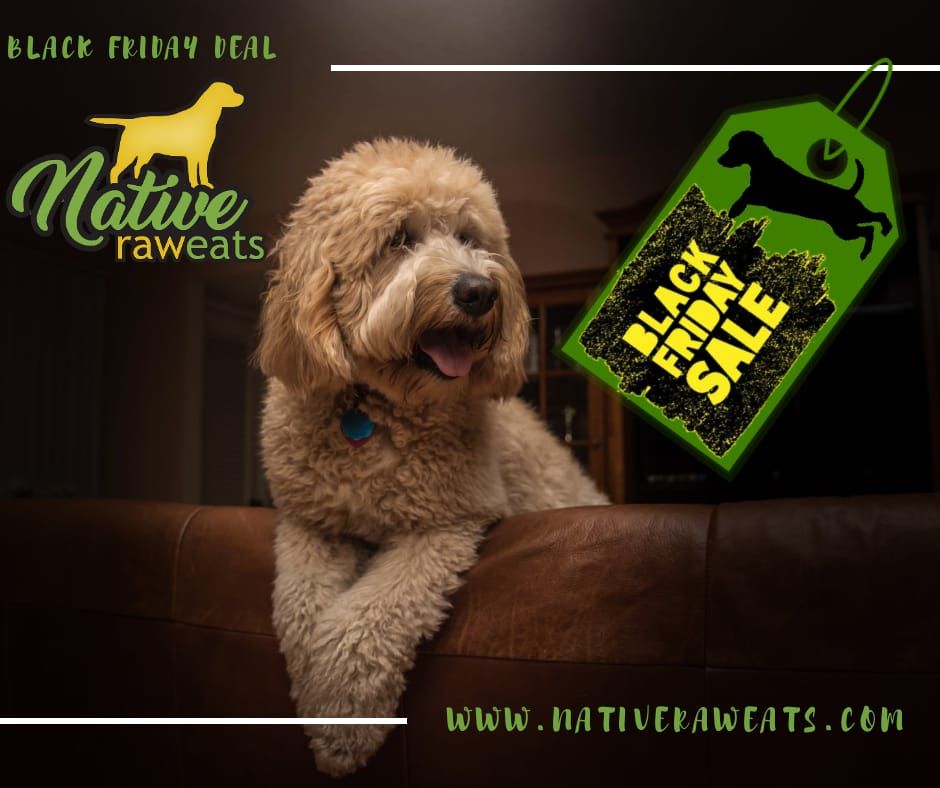 native_raw's tweet image. Have you gotten your bundle? 🐕🐾🥕🍖

$25 BLACK FRIDAY BUNDLE

28 - 4 .oz Raw diet packages of your choice
1lb Pack of raw chicken wings
8 .oz Beef liver

Get your bundle while supplies last!

ow.ly/OECB50xkj63

#blackfridaydeal #coloradodogs #denverdogs #dogsofdenver