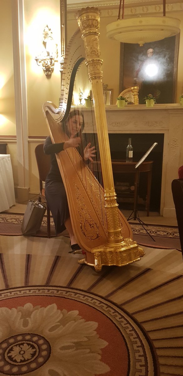 GlassSeller's tweet photo. At the #WelshLivery #LondonGroup dinner this evening. Many London Livery companies represented @ActuaryCompany @ThePaviors @UpholdersLivery #ArbitratorsCompany @WCNeedlemakers @DyfrigJames. Entertainment from a harpist, of course. Missing you @elinhafdavies @janewareham https://t.co/jKzSLGpiGp