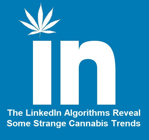 ghsupply's tweet photo. As the cannabis niche grows bigger the job profiles in LinkedIn will increasingly be using the words #cannabis, #marijuana, weed, and 420. 
https://t.co/bYodJid1Sk @cannabis_net https://t.co/ppuVwDgsng