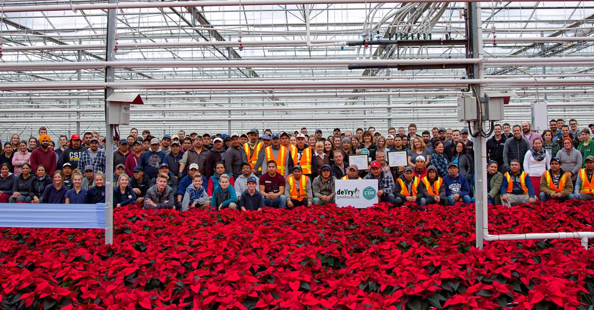 EmilyAgSafe's tweet image. Congratulations to deVry Greenhouses on their COR Certification with @AgSafeBC. Been a pleasure working with this group to achieve their safety goals!