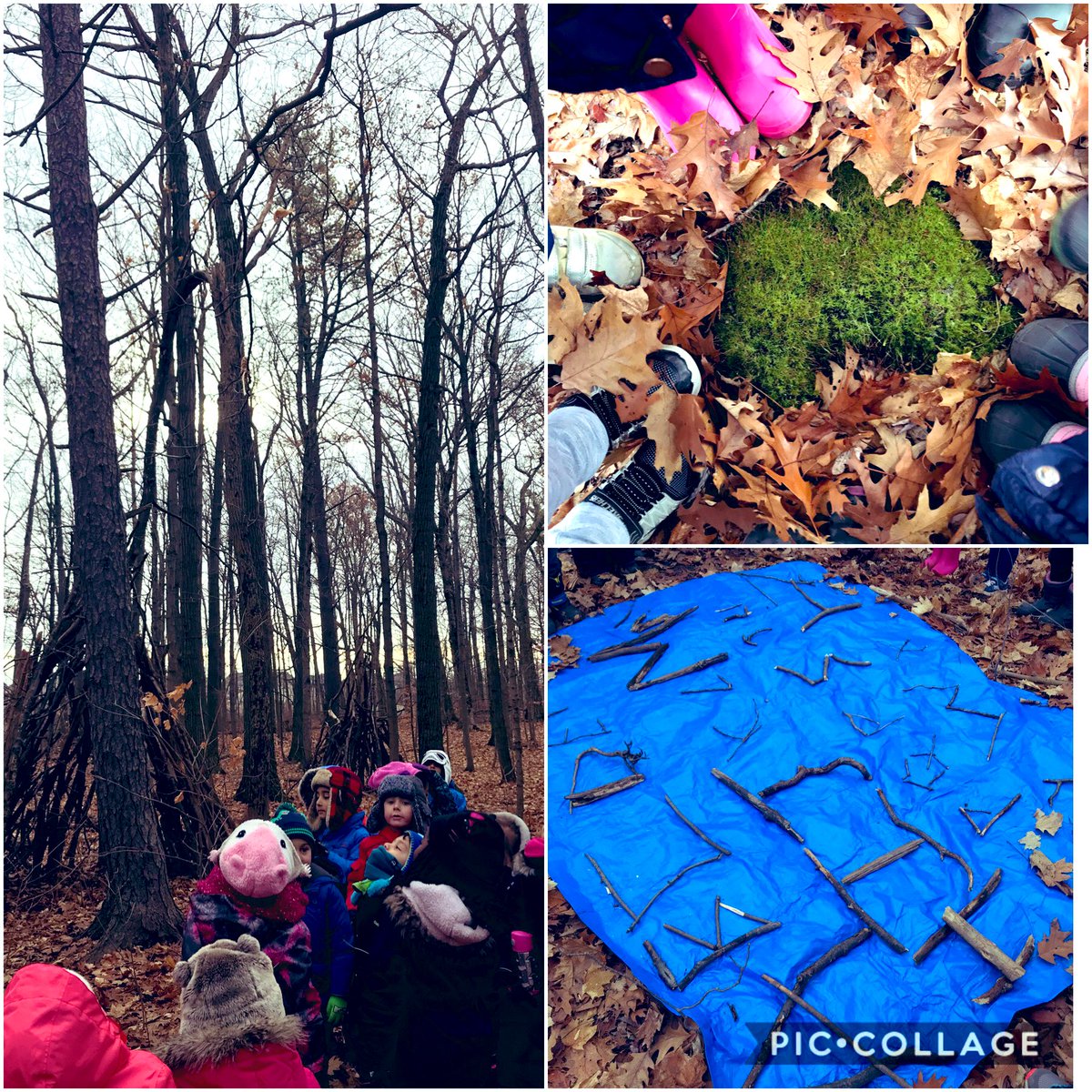 mindful_mssmith's tweet image. Wow what a week! Thank you so much to all of the parents who came in for observations. It was great having you in our class. Here are some pictures of what we have been up to this week.