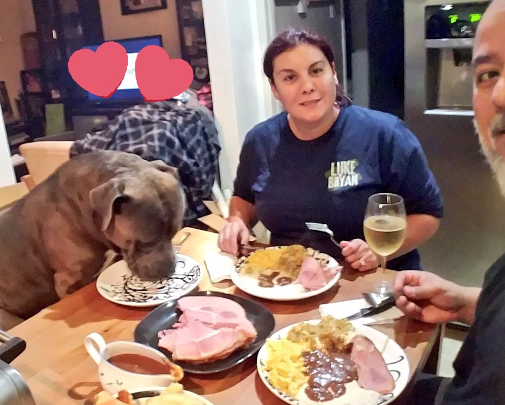 #FlashbackFriday I got to eat at the dinner table yesterday and have some yummy ham. It was delicious. #goodtablemanners #familydinner #thankful #firstthanksgiving #rescuedog #subaorticstenosis #pitbulls #bullmastiff #Staffordshire #dogsoftwitter #dogthanksgiving #love