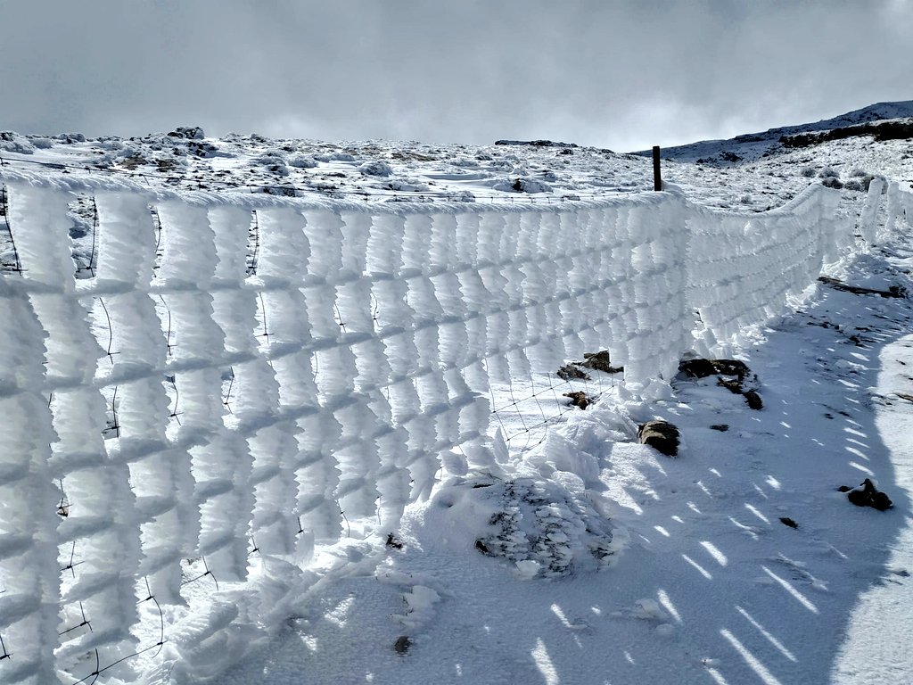 ❄️¿Volveremos a ver estas postales invernales en las cumbres de nuestras sierras de cara a la semana que viene? #SierraDeAlcaraz #SierraDelSegura #Albacete #Nieve #Snow

Todo pinta que sí. 📍Calar del Mundo 16/11/2019 (Riópar, AB) © Julio Patiño