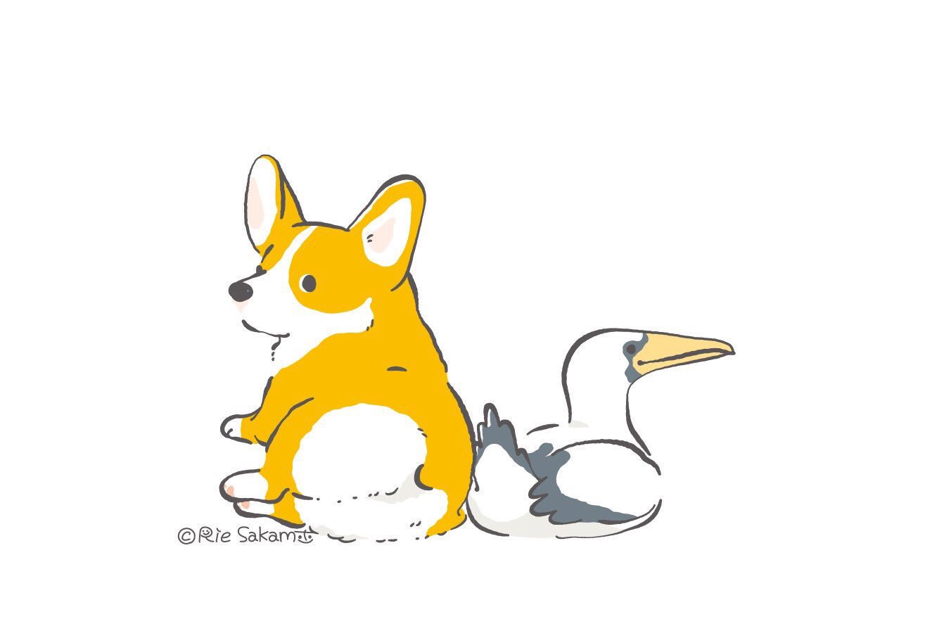サカモトリエ デザフェス両日 イラストレーター いいおしりの日なので コーギーとアオツラカツオドリのもふもふおしり シマエナガもこっそりもっふり隠れてます いいおしりの日 Corgi コーギー イラスト コギまるけ T Co Riyxaf9zrc Twitter