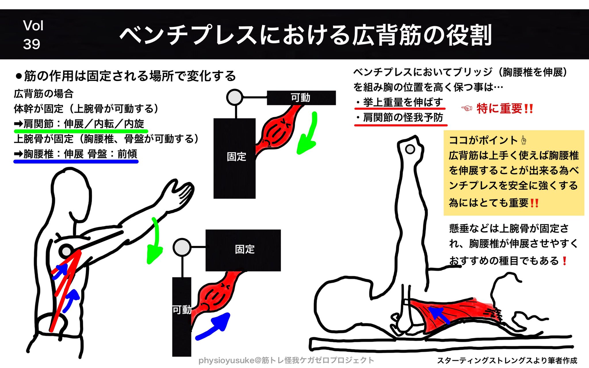 ユウスケ 筋トレ怪我ケガゼロプロジェクト 最新ノート公開 Vol 39 ベンチプレスにおける広背筋の役割 ノートを見れば 以下が理解できます 筋の作用の不思議 ベンチプレスは胸を張る 胸を張るにはブリッジが重要 ブリッジを ユウスケ 筋トレ怪我ケガゼロプロジェクト 最新ノート公開 Vol 39 ベンチプレスにおける広背筋の役割 ノートを見れば 以下が理解できます 筋の作用の不思議 ベンチプレスは胸を張る 胸を張るにはブリッジが重要 ブリッジを