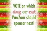 DogMagUsa's tweet photo. Dogs - Bloggie> Which Pet Should PawZaar Sponsor Next? VOTE!: It's -> https://t.co/vCu7w3JqiR #dogs https://t.co/cG2XzvYl0R