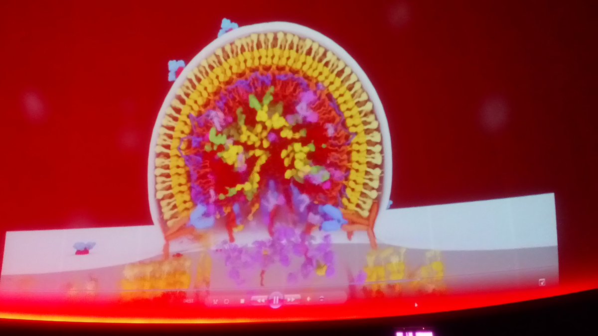 BcnVih's tweet photo. Magnífica explicación y perspectiva histórica y social en la presentación de @pepealcami "El skyline del SIDA" toda la historia sobre #VIH &amp; #SIDA #JORNADASVIHBCN2019
¡Mañana continuaremos con los talleres, no os los perdáis!
#bcnvih #hospitalclinic #cosmocaixa https://t.co/zrJB9DXV98