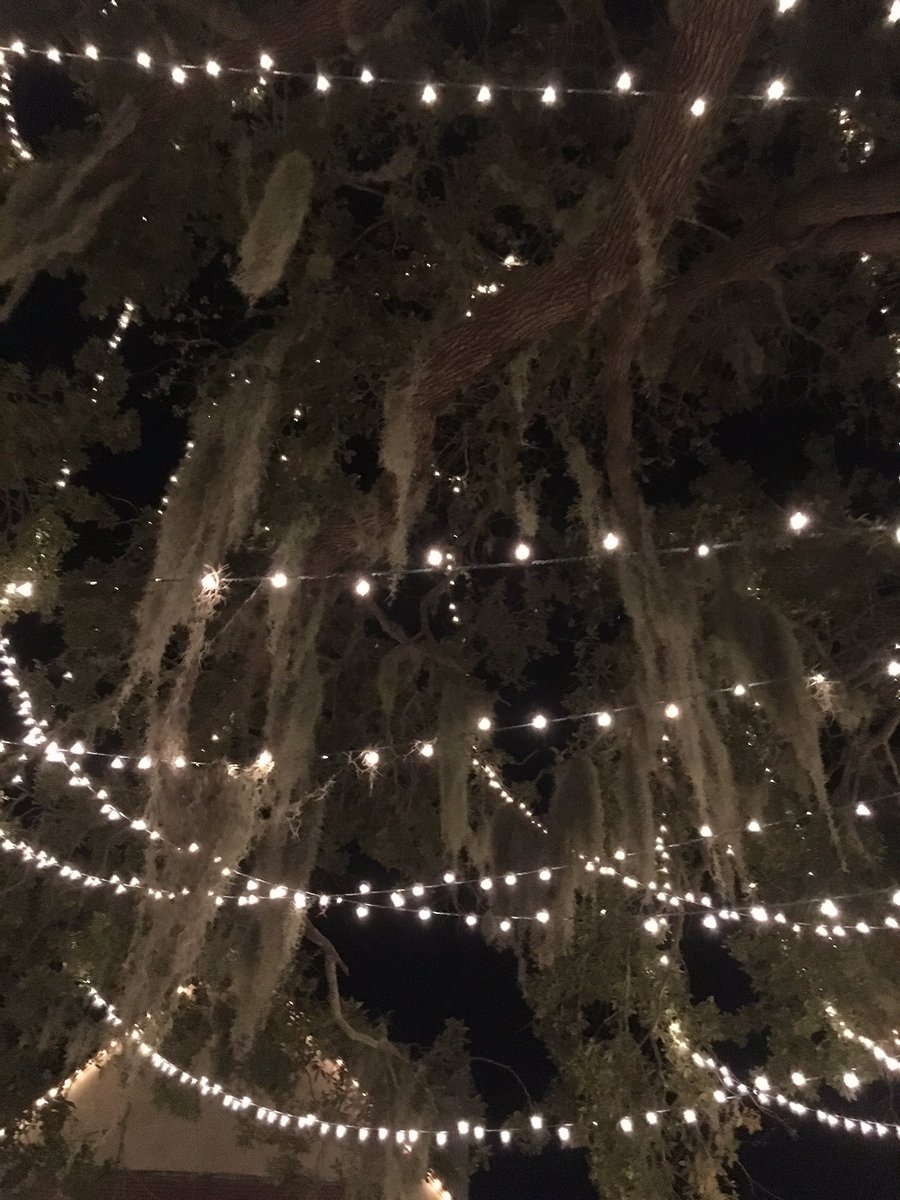 Virginia_Delish's tweet photo. Nights of lights, Christmas ornaments, Spanish moss - oh what a beautiful night✨💕 #StAugustine #VisitSTA #VisitStAugustine #Florida #Holiday https://t.co/7sTEvqtZh2
