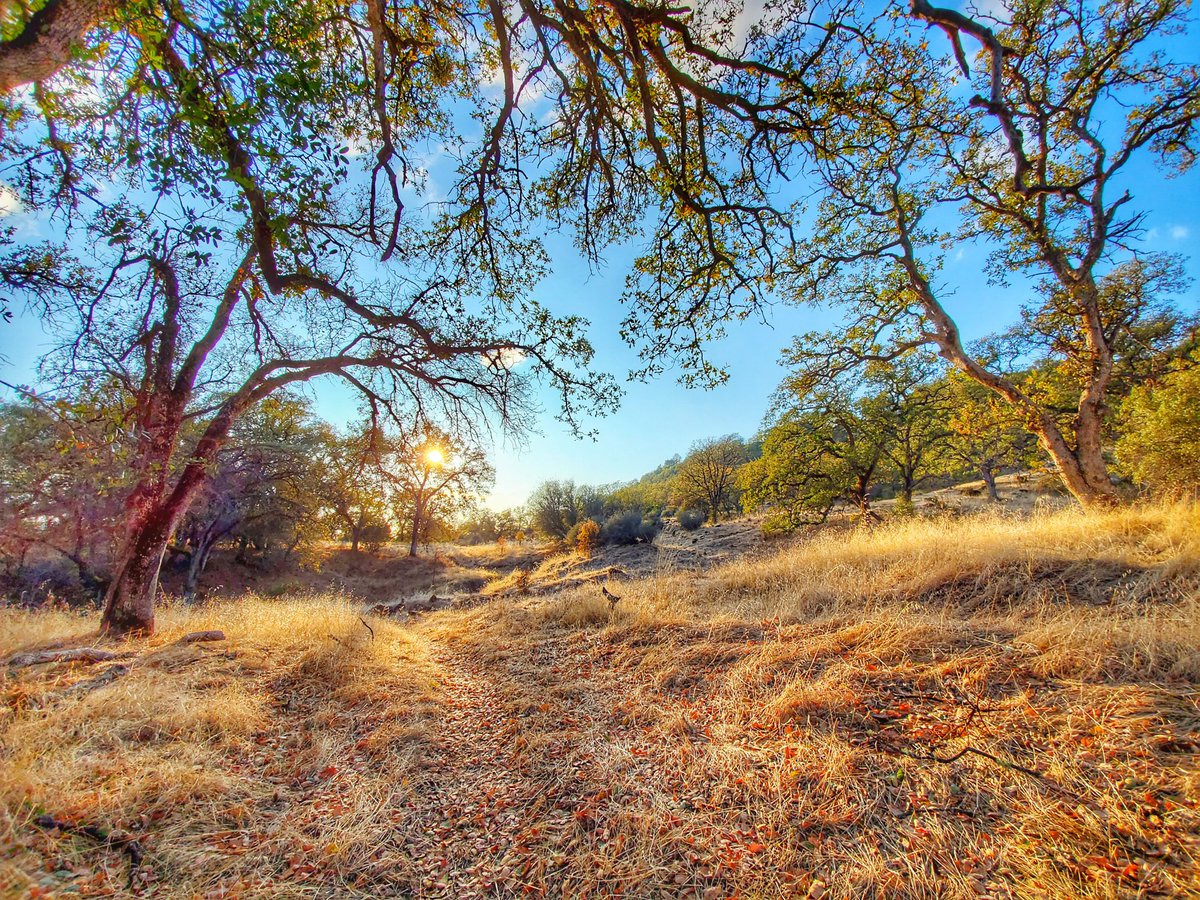 Our #OptOutside was like stepping into a #publiclands postcard.

Where did you spend the day?