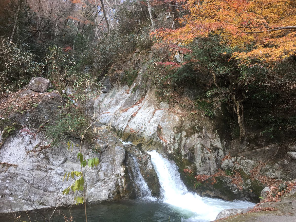 sacritabust's tweet image. 花貫渓谷の紅葉はもう終わりを迎えていますね。一足遅かった。。。
#花貫渓谷 #紅葉 #beatmap