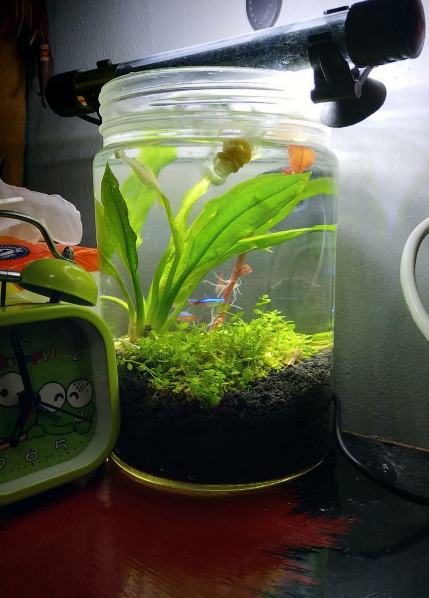 getarkrisna's tweet image. Mampus dicariin!
..🥶
👉👈