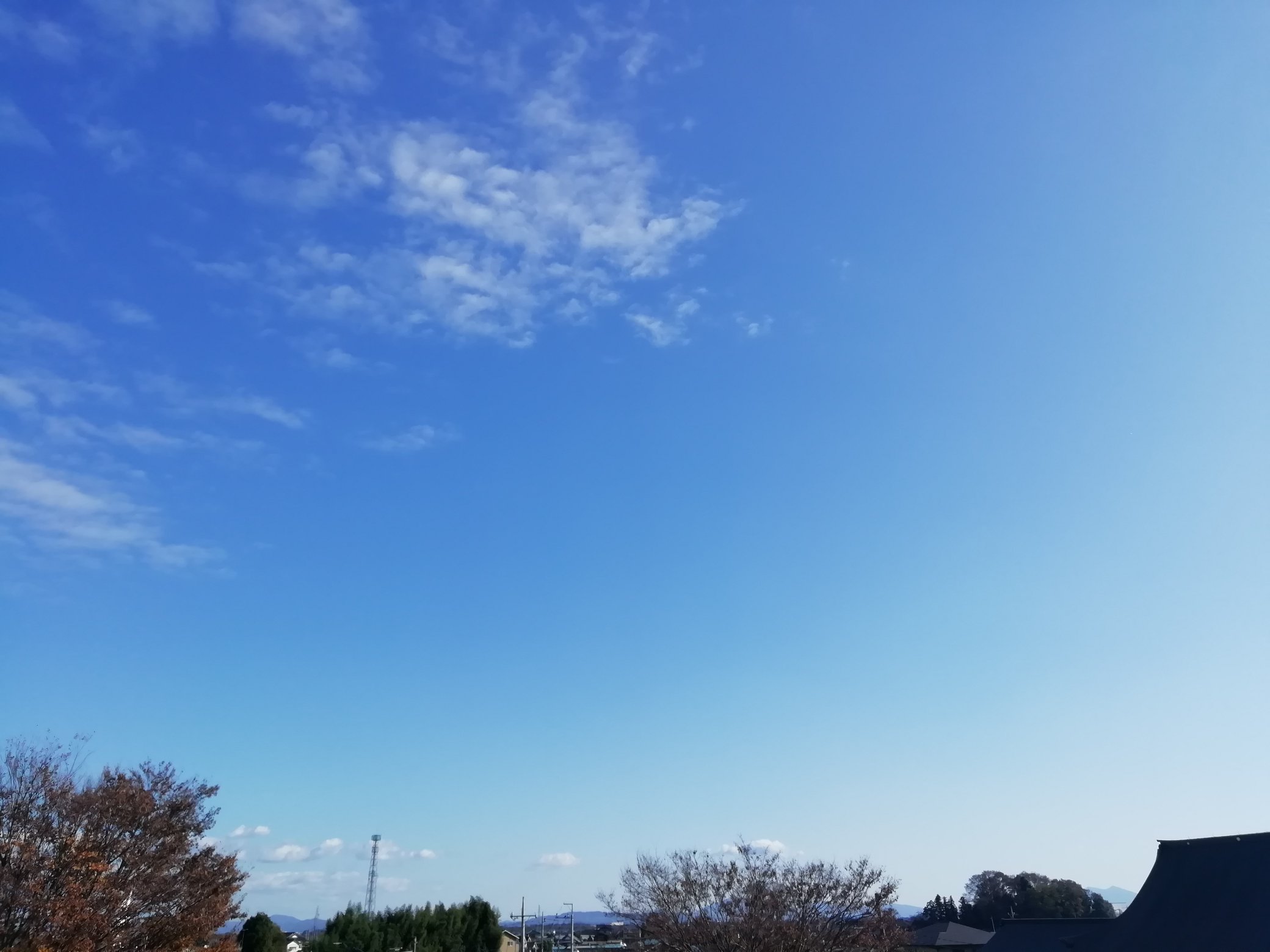 Kameda Medakaland Twitter