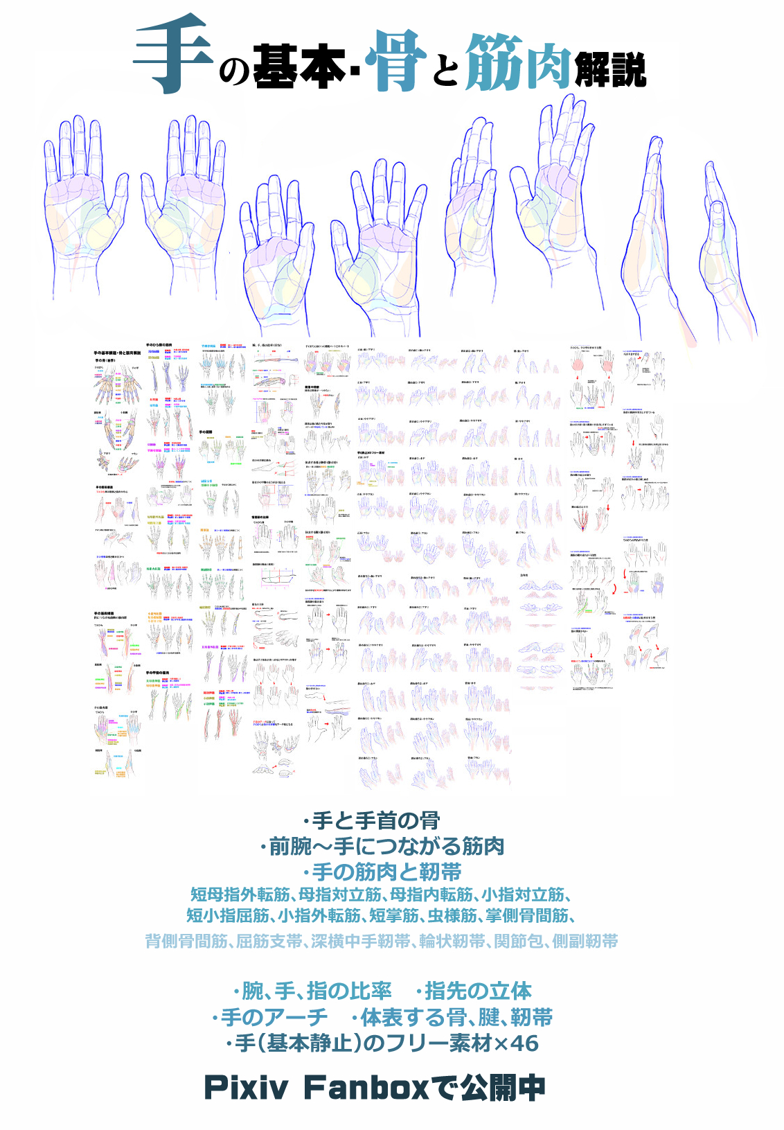 漫画素材工房 ちょっと昔の模写 手 手の違和感と修正法まとめ T Co Mgkg1uempq 手の基本 骨と筋肉解説 T Co Fdwdycl77q English Hand Wrist Summary Of The Common Mistake T Co Gaqpuroqf3 Structure Of The Hand Basics